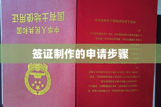 肇庆签证制作的申请步骤