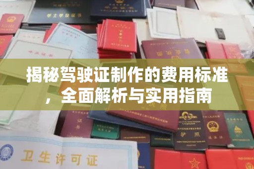 肇庆揭秘驾驶证制作的费用标准，全面解析与实用指南