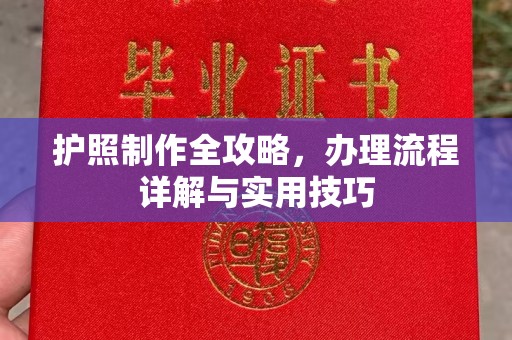 肇庆护照制作全攻略，办理流程详解与实用技巧